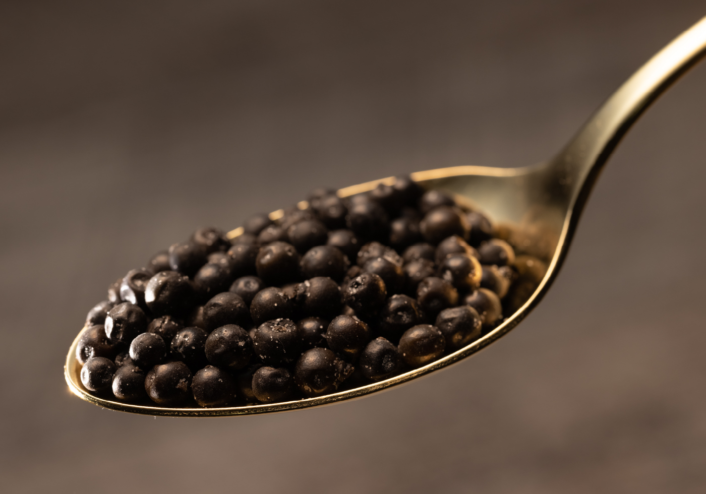 元祖 粒生こしょう(粒生胡椒)のHITOSAJIYA (ひとさじや)